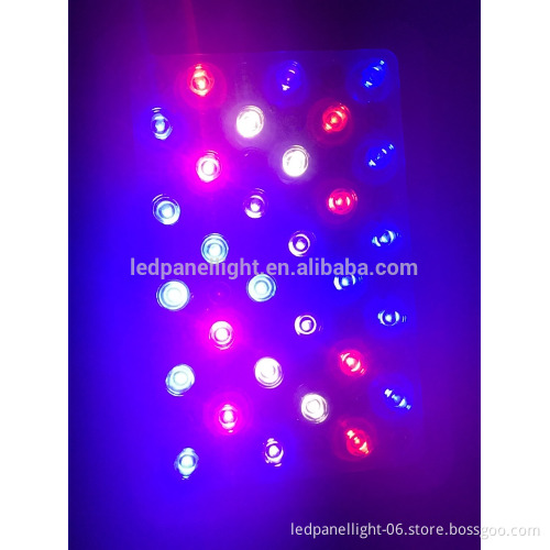 300W LED Growing light plant and bloom growing light